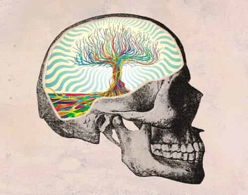 Como Aumentar y Mantener Mi Capacidad Mental